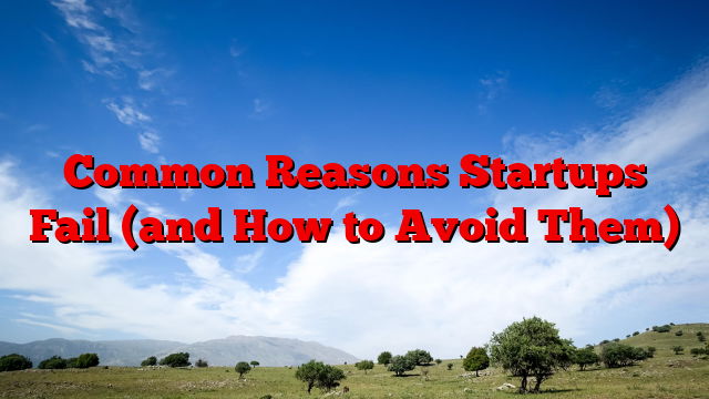 Common Reasons Startups Fail (and How to Avoid Them)