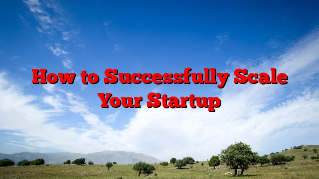 How to Successfully Scale Your Startup