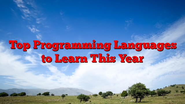 Top Programming Languages to Learn This Year