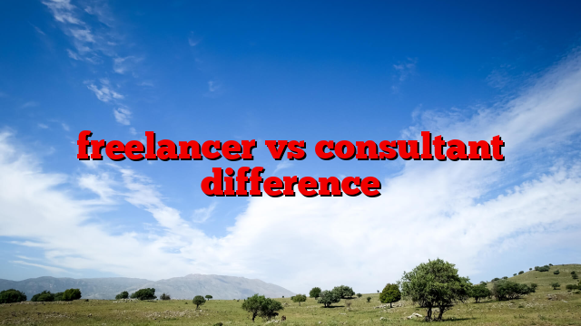 freelancer vs consultant difference