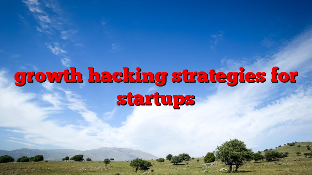 growth hacking strategies for startups
