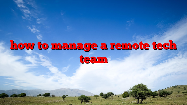 how to manage a remote tech team