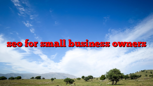 seo for small business owners